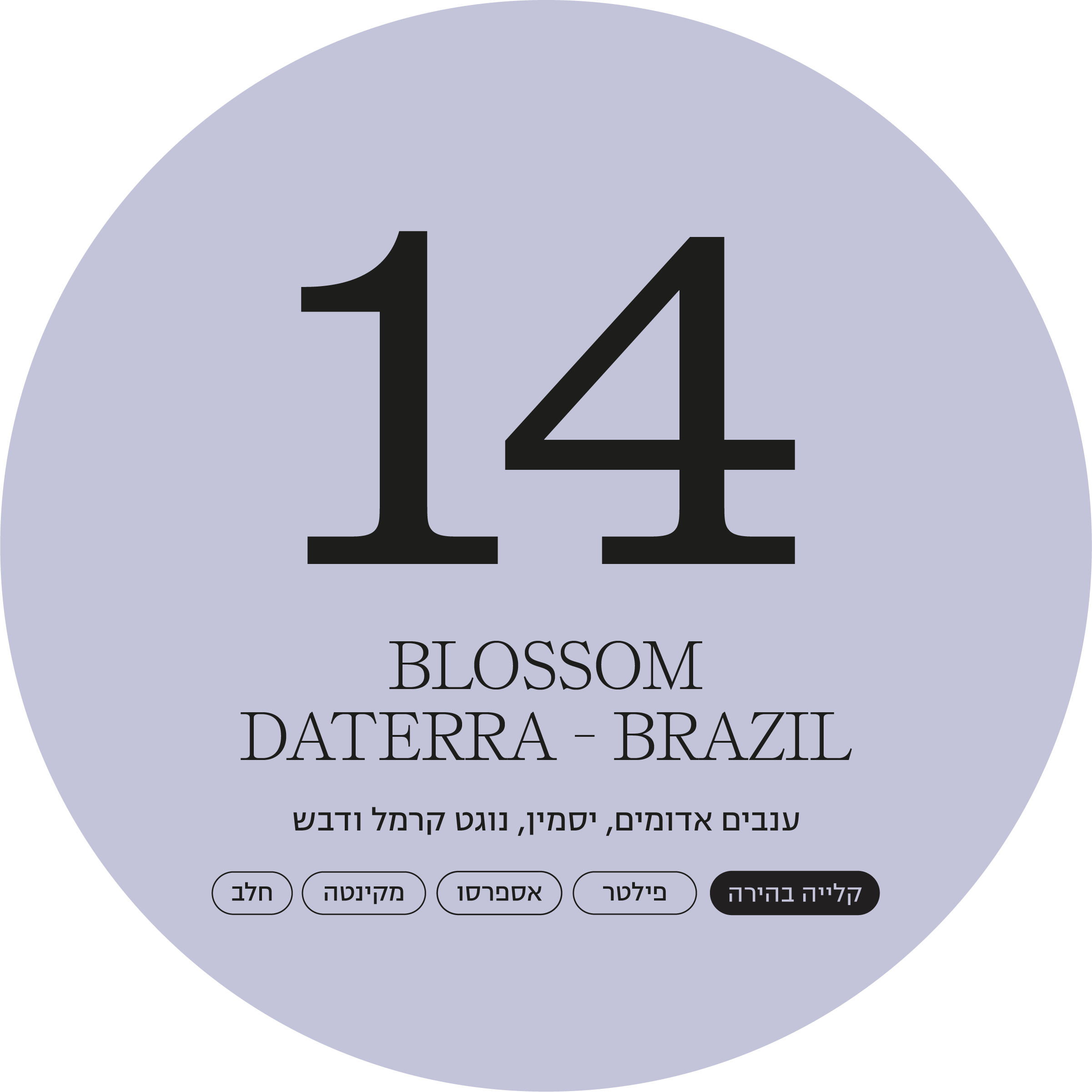 מונלייט, דאטרה (ברזיל) #14
