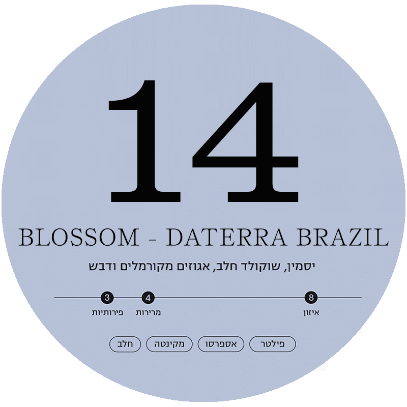 BLOSSOM-copy.png